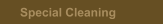 Special Cleaning